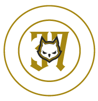 logo 37 anos